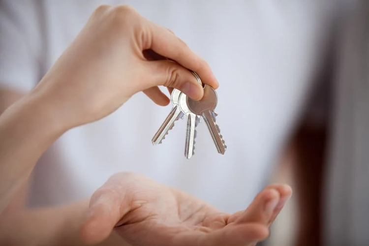 Conveyancer SA: Key Services for Hassle-Free Property Deals Conveyancer SA: Key Services for Hassle-Free Property Deals